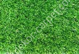 Carpet Cosmo 3145_green