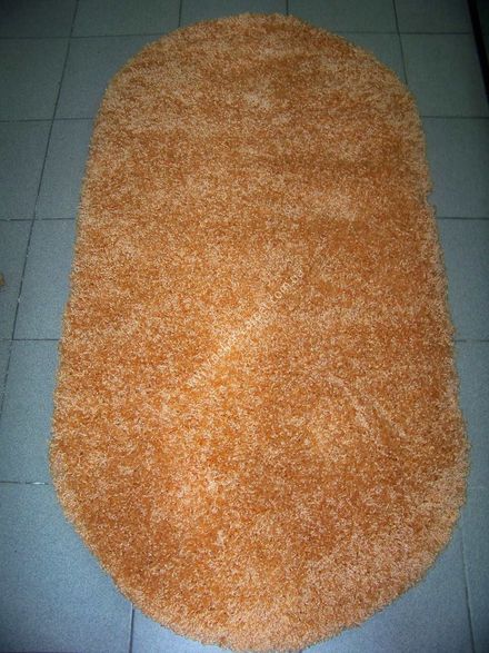 Carpet Shaggy 15