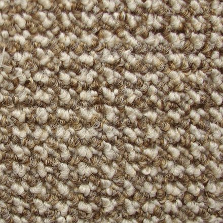 Carpeting Rhapsody 9908