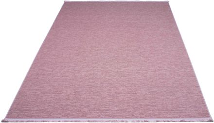 Carpet Bonita Exc F105 pmb