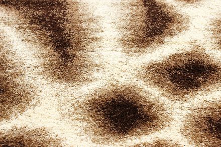 Carpet Majesty 2942a ivory brown