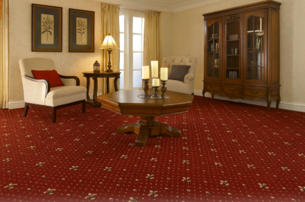 Carpet rugs Atlas 8928 red