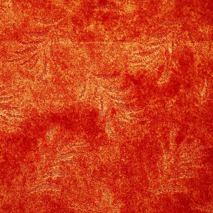 Carpeting Fern(domo) 1831