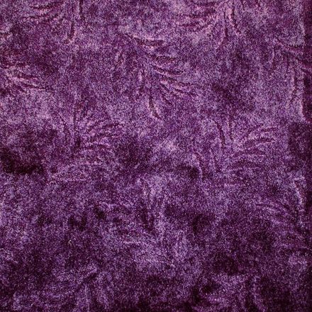 Carpeting Fern(domo) 2626