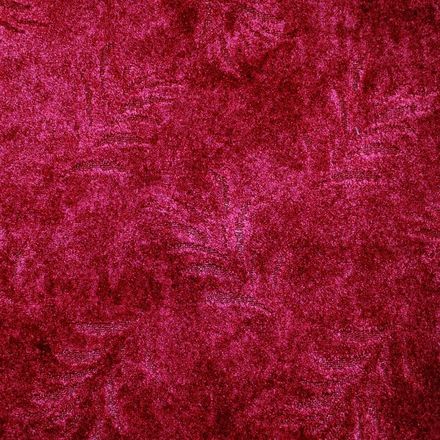 Carpeting Fern(domo) 4841