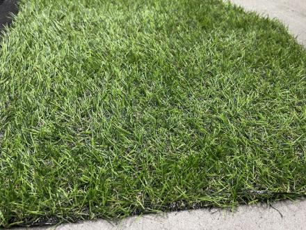 Land Grass 20