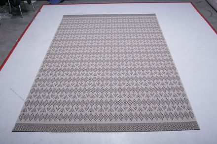 Carpet Rainbow 6501 wool
