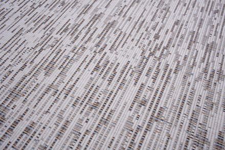 Carpet Rainbow 6525 wool
