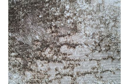 Carpet Sedef a0015 beige grey