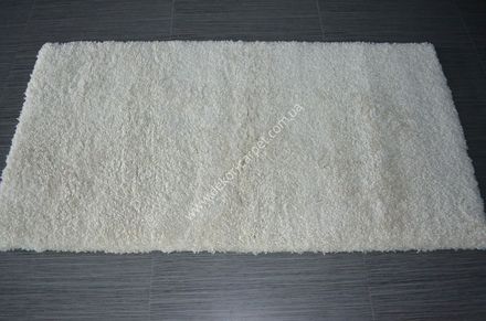 Carpet Shaggy-mol 10391 33837