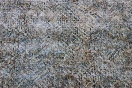 Килим Alaska AS 10 moss grey